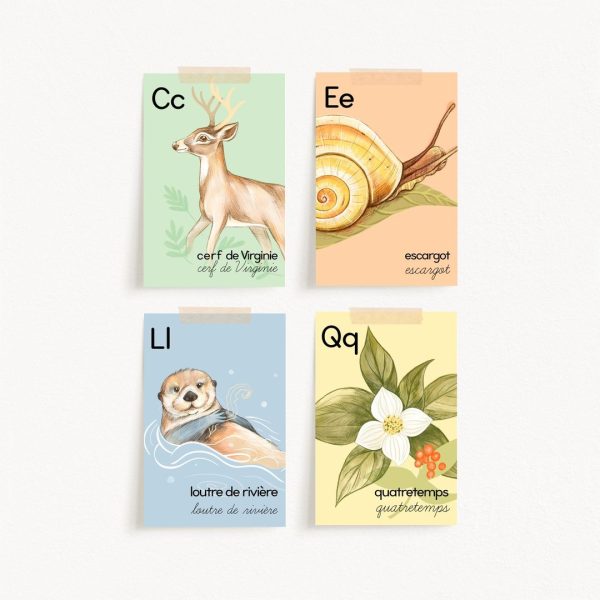 Cartes d'apprentissage - La nature Québécoise - Alphabet - CA11MF