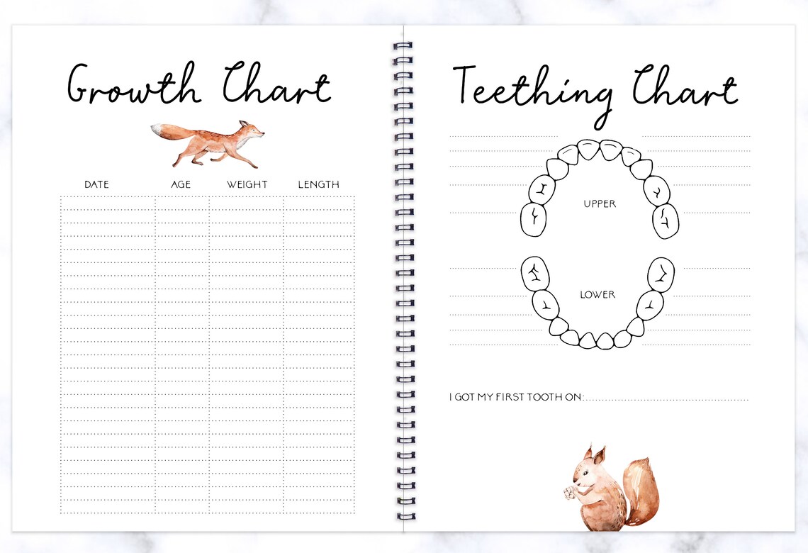 Pregnancy & baby combo Sweet forest C7A Rainbows and lollipops