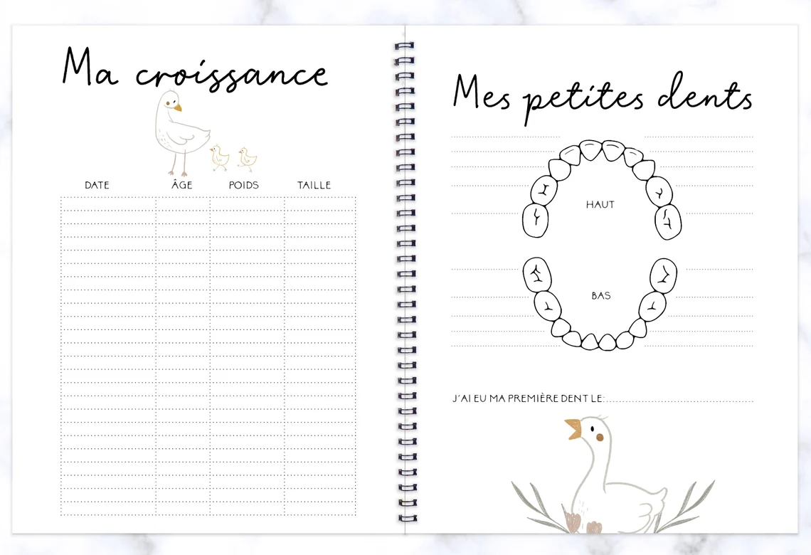 Lettres à mon fils – Petit habit – L5 – Rainbows and lollipops