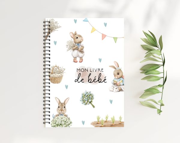Livre de bébé - Pierre lapin - BF99