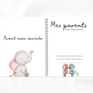 Cahier de Notes – Champ de fleurs – N1 – Rainbows and lollipops