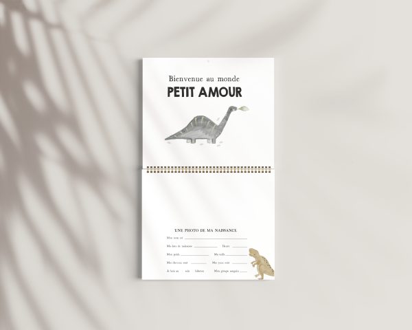 Calendriers de première année de bébé - Doux dinos - CAL15 – Image 2