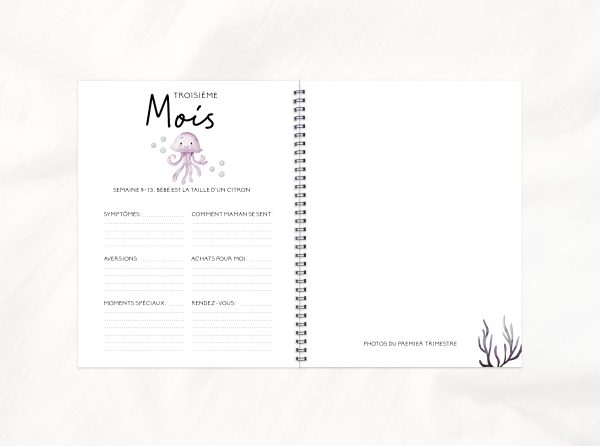 Combo grossesse-bébé - Aventure en mer – Image 3