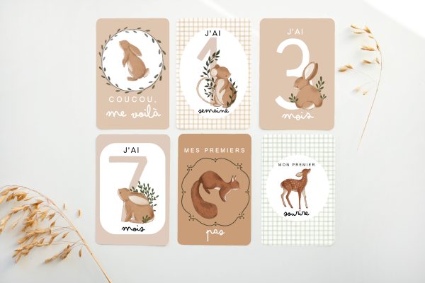 Cartes étapes bébé - Petits animaux doux - BE29