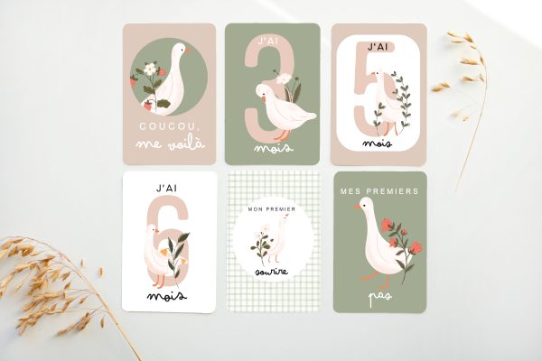Cartes étapes bébé - Petites oies - BE30