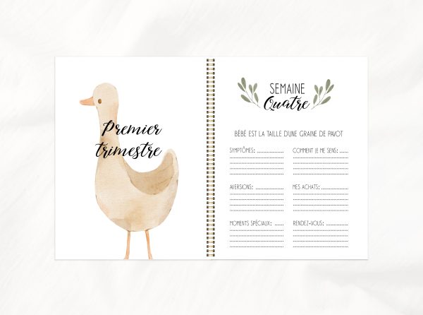 Journal de grossesse - Doux copains - LG12 – Image 4