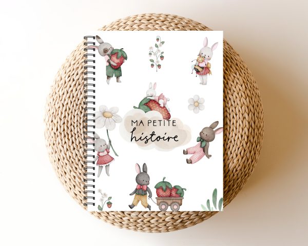 Livre de bébé - BF127 - Lapins et fraises