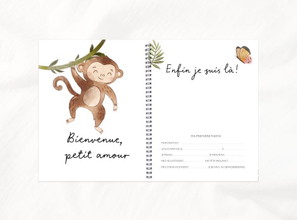 Livre de bébé - BF128 - Aventure dans la jungle – Image 3