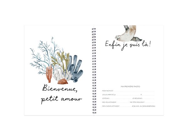 Livre de bébé - BF129 - Océan aquarelle – Image 3