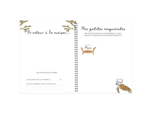 Livre de bébé - BF129 - Océan aquarelle – Image 4