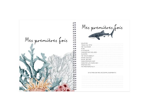 Livre de bébé - BF129 - Océan aquarelle – Image 6